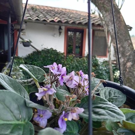 Hotel Boutique Casabella Coatepec  Buitenkant foto