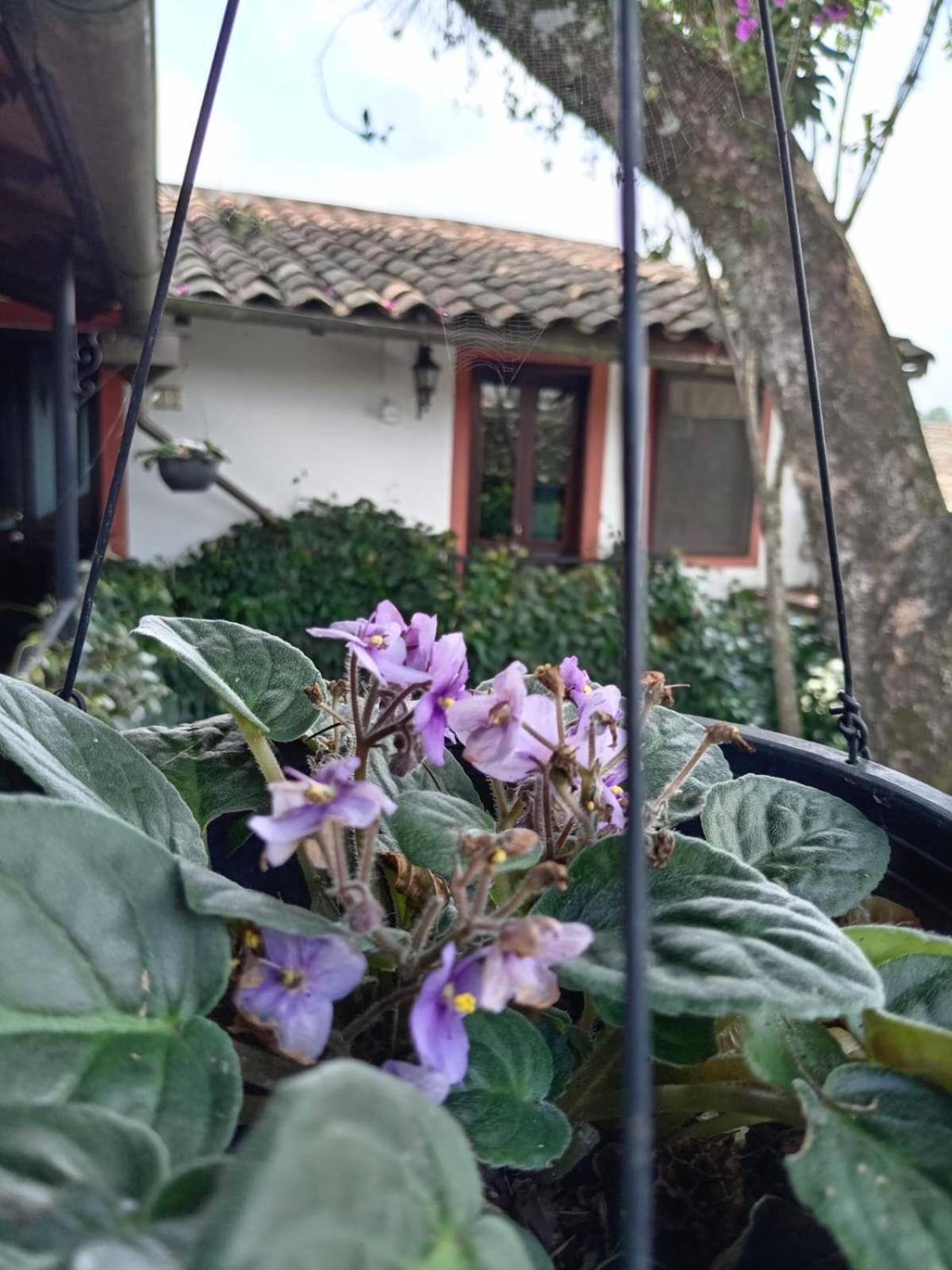 Hotel Boutique Casabella Coatepec  Buitenkant foto