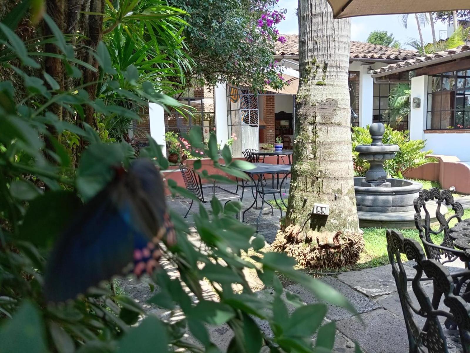 Hotel Boutique Casabella Coatepec  Buitenkant foto