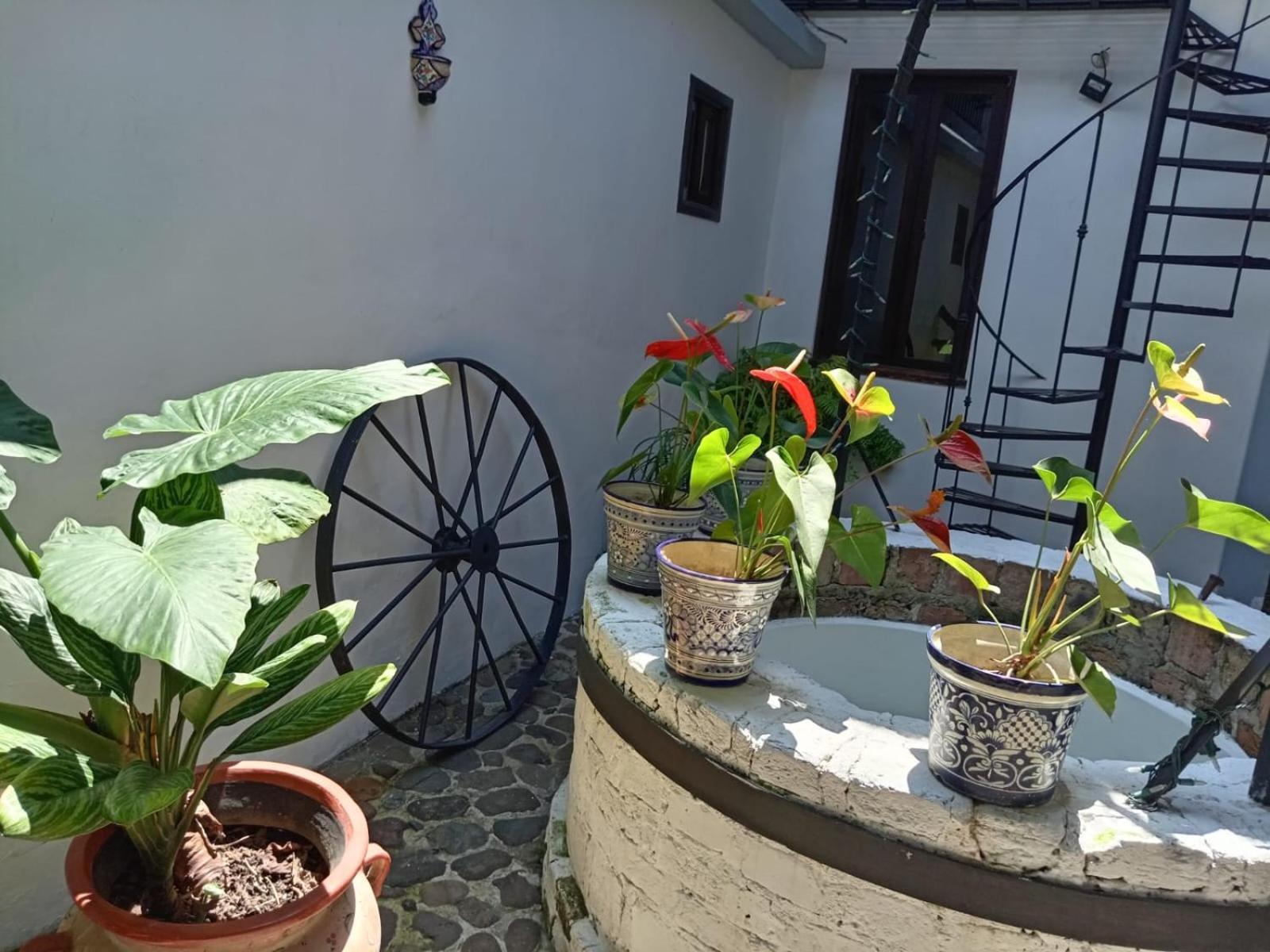 Hotel Boutique Casabella Coatepec  Buitenkant foto